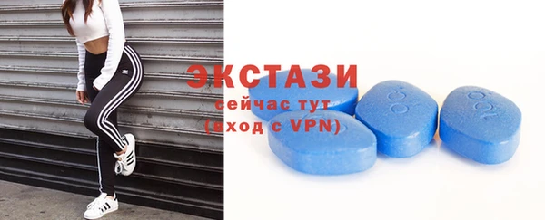 гашик Билибино