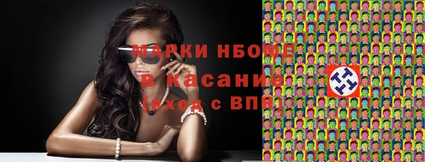 гашик Билибино