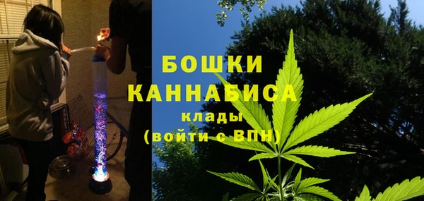 гашик Билибино