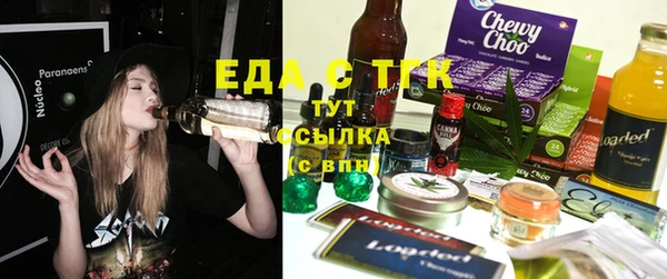 гашик Билибино