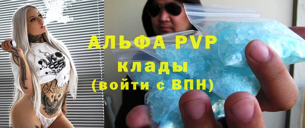 гашик Билибино