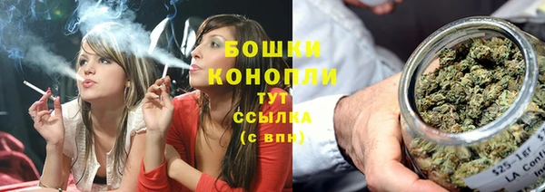 гашик Билибино