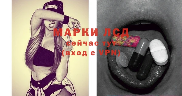 гашик Билибино