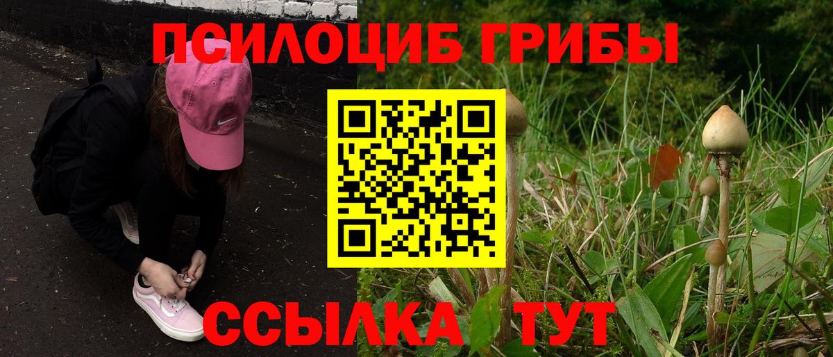 Галлюциногенные грибы GOLDEN TEACHER Изобильный